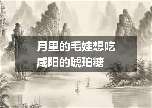 月里的毛娃想吃咸阳的琥珀糖