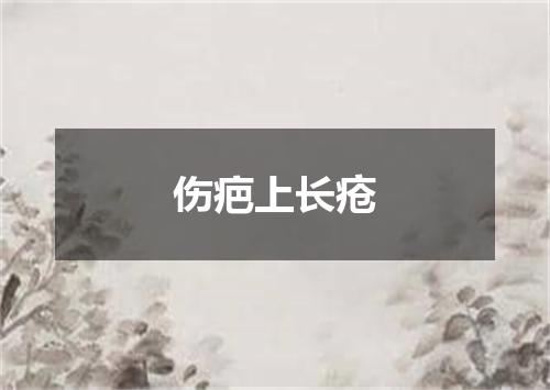 伤疤上长疮