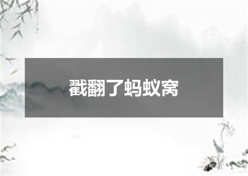 戳翻了蚂蚁窝