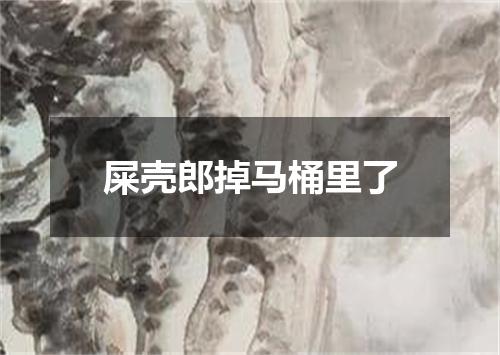屎壳郎掉马桶里了