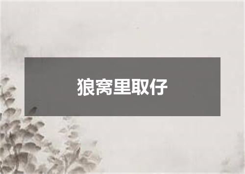 狼窝里取仔