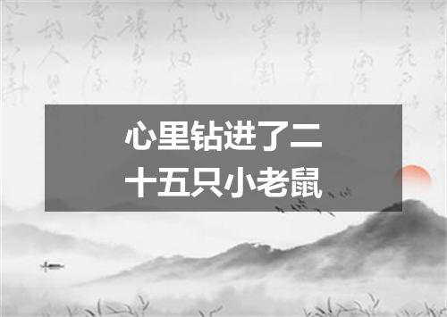 心里钻进了二十五只小老鼠
