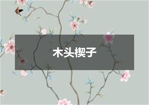 木头楔子