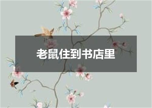 老鼠住到书店里