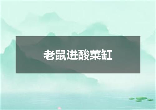 老鼠进酸菜缸