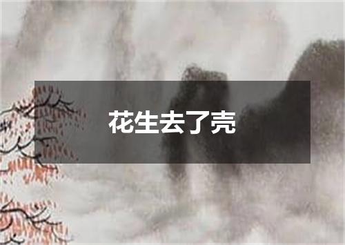 花生去了壳