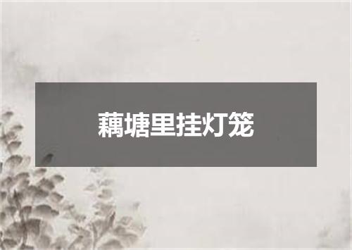藕塘里挂灯笼