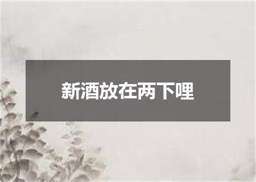 新酒放在两下哩