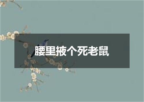 腰里掖个死老鼠