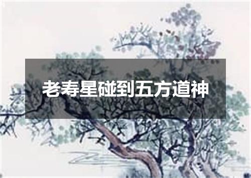 老寿星碰到五方道神