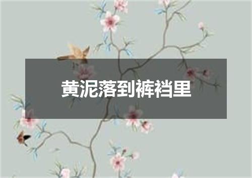黄泥落到裤裆里