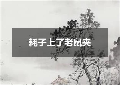 耗子上了老鼠夹