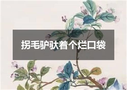 拐毛驴驮着个烂口袋