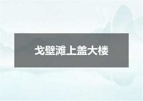 戈壁滩上盖大楼