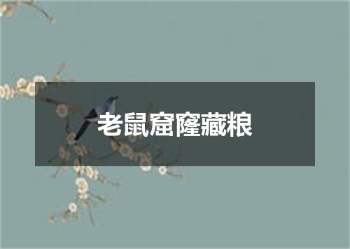 老鼠窟窿藏粮