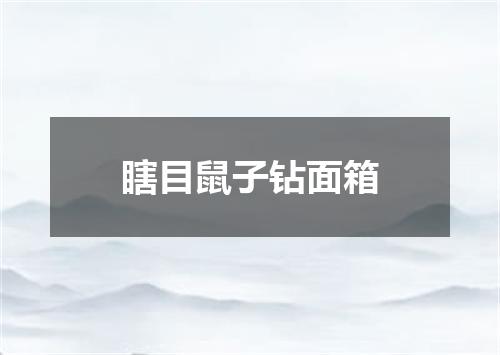 瞎目鼠子钻面箱