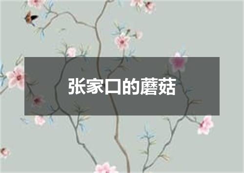 张家口的蘑菇