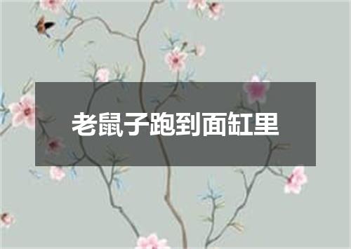 老鼠子跑到面缸里