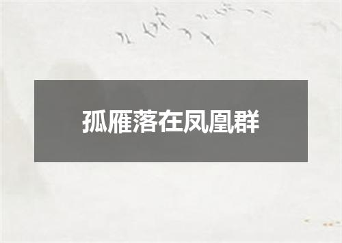 孤雁落在凤凰群