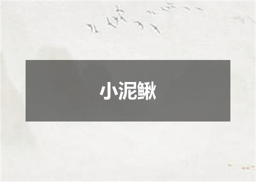 小泥鳅
