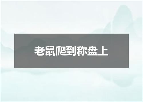 老鼠爬到称盘上