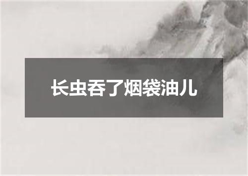 长虫吞了烟袋油儿