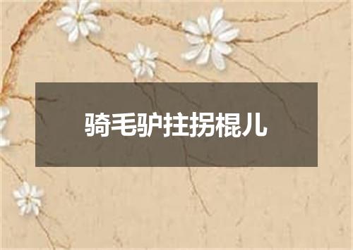 骑毛驴拄拐棍儿