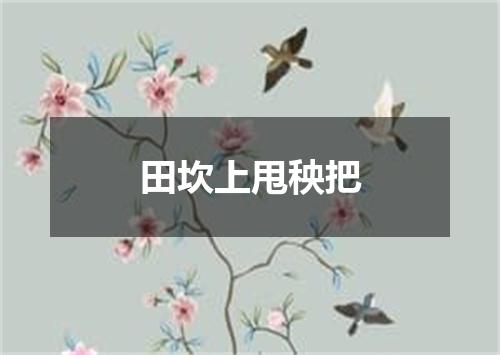 田坎上甩秧把
