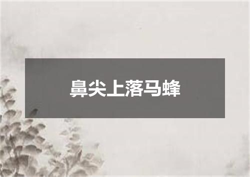 鼻尖上落马蜂
