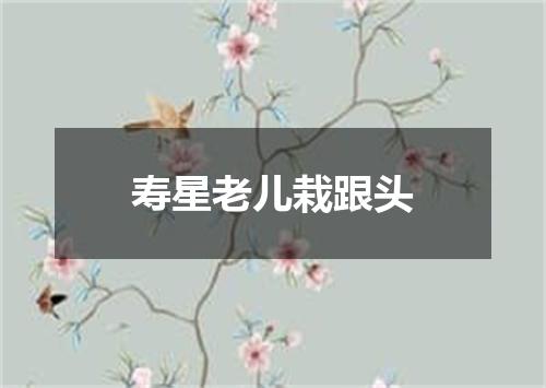 寿星老儿栽跟头
