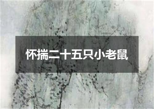 怀揣二十五只小老鼠
