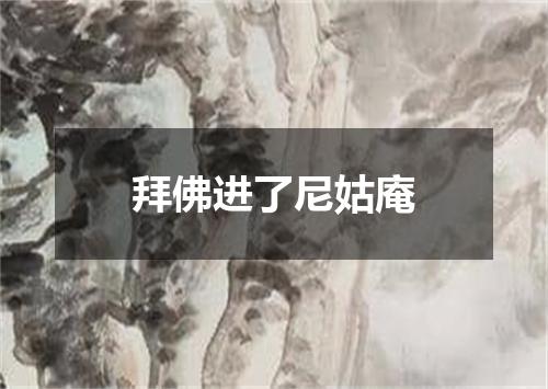 拜佛进了尼姑庵