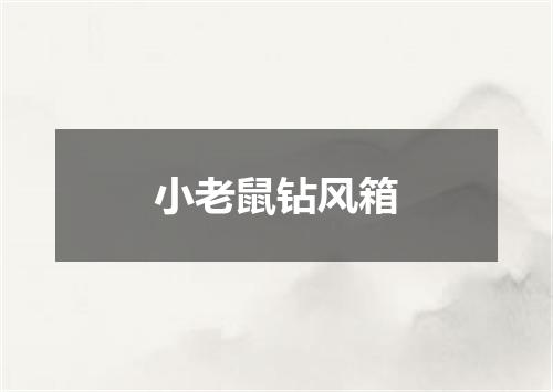 小老鼠钻风箱