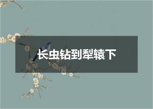 长虫钻到犁辕下