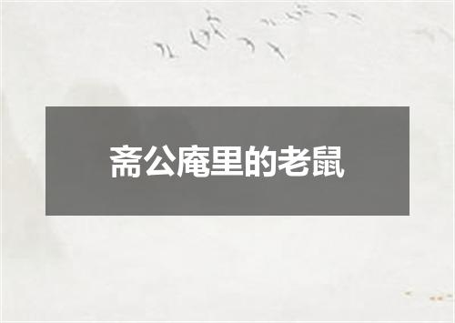 斋公庵里的老鼠