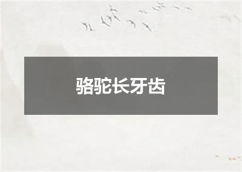 骆驼长牙齿