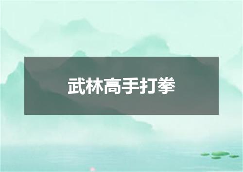武林高手打拳