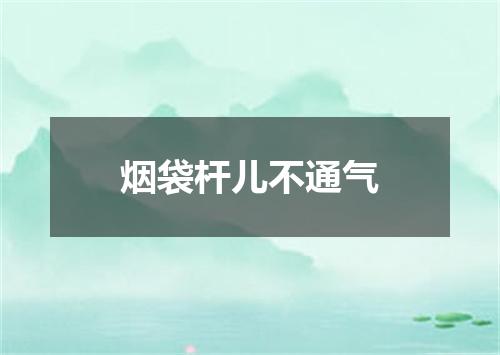烟袋杆儿不通气