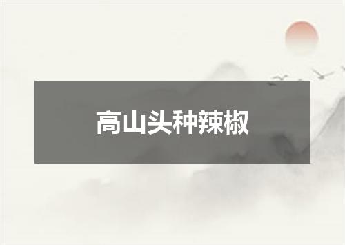 高山头种辣椒