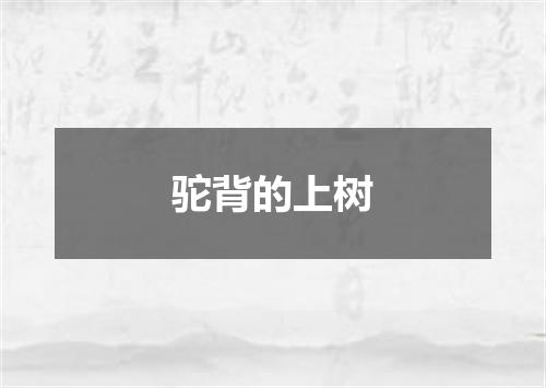 驼背的上树