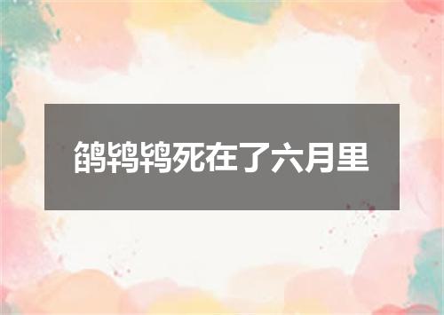 鹐鸨鸨死在了六月里