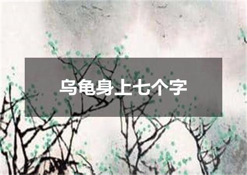 乌龟身上七个字