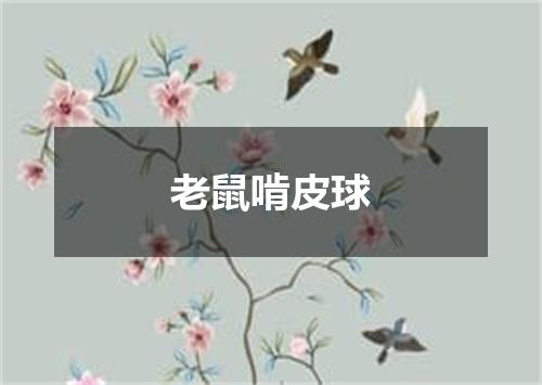 老鼠啃皮球