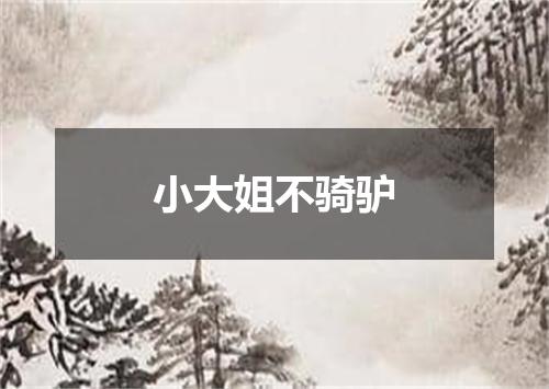 小大姐不骑驴