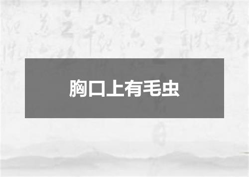 胸口上有毛虫