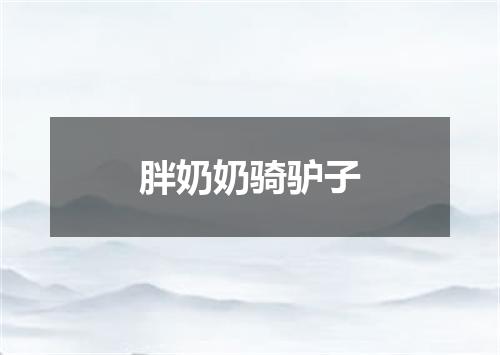 胖奶奶骑驴子