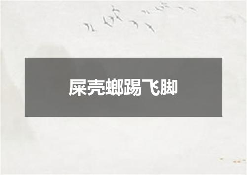 屎壳螂踢飞脚