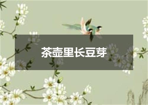 茶壶里长豆芽