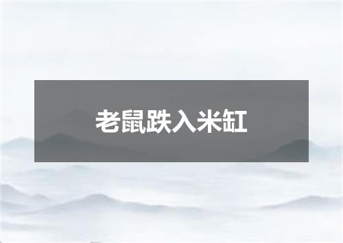 老鼠跌入米缸