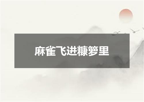 麻雀飞进糠箩里
